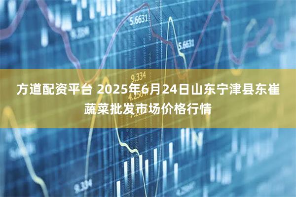 方道配资平台 2025年6月24日山东宁津县东崔蔬菜批发市场价格行情